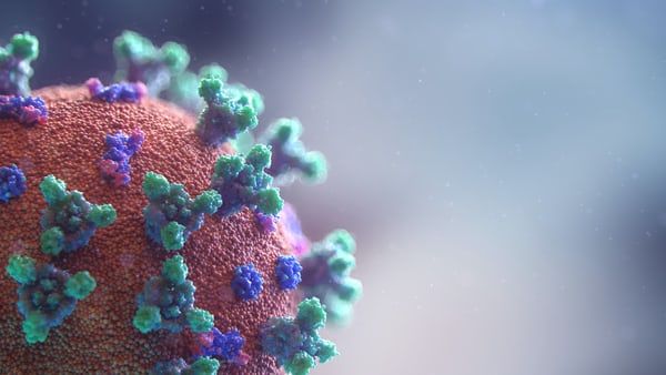 Half of the US population is now fully vaccinated against COVID-19: CDC